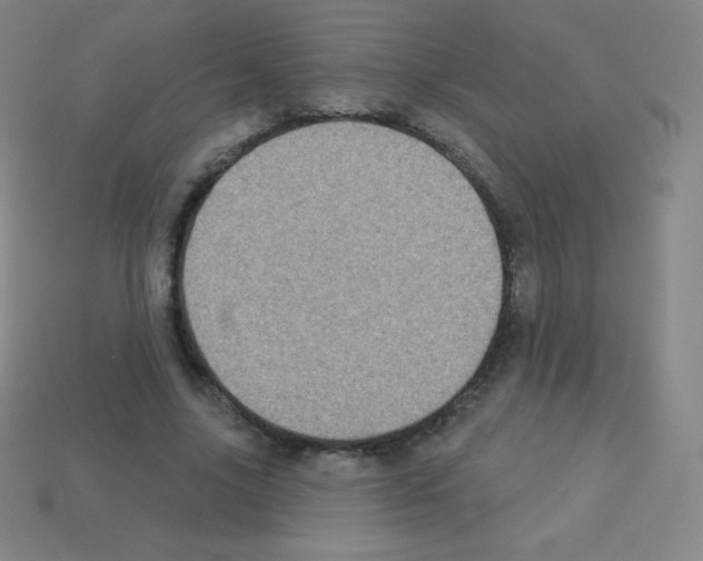 X0000113100635200910091140
