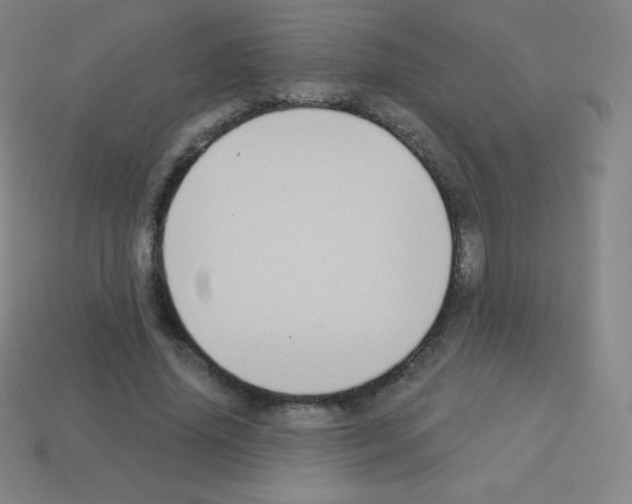 X0000113100636200910091140