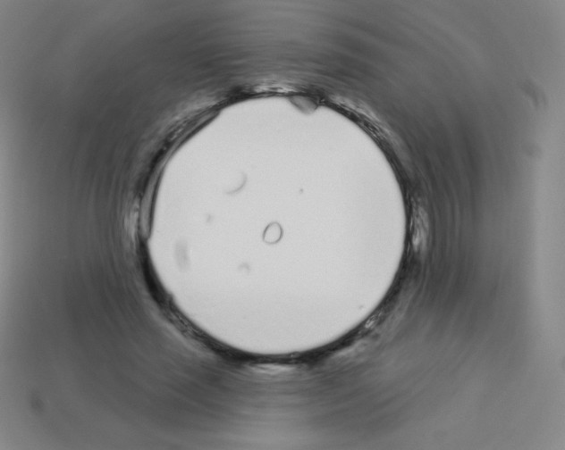 X0000113100637200910091140