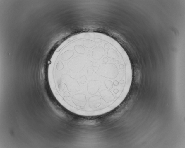 X0000113100638200910091140