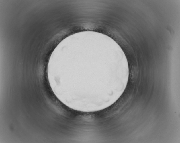 X0000113100639200910091140