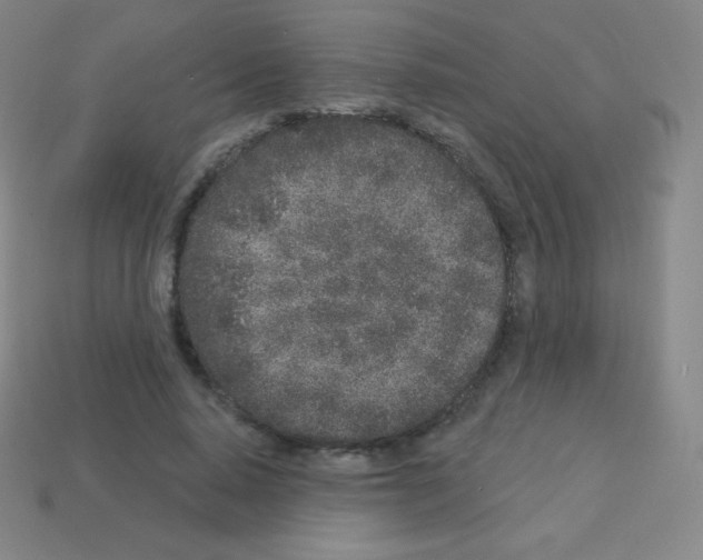 X0000113100640200910091140