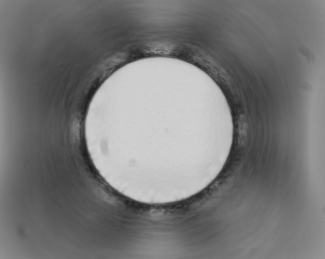 X0000113100641200910091140