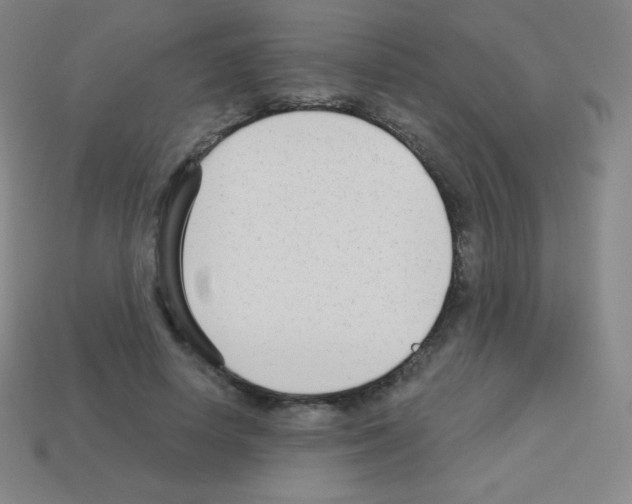 X0000113100642200910091140