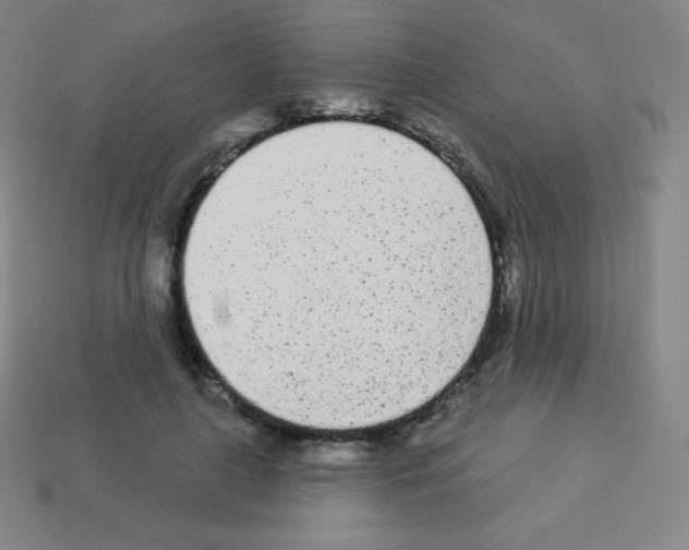X0000113100643200910091140