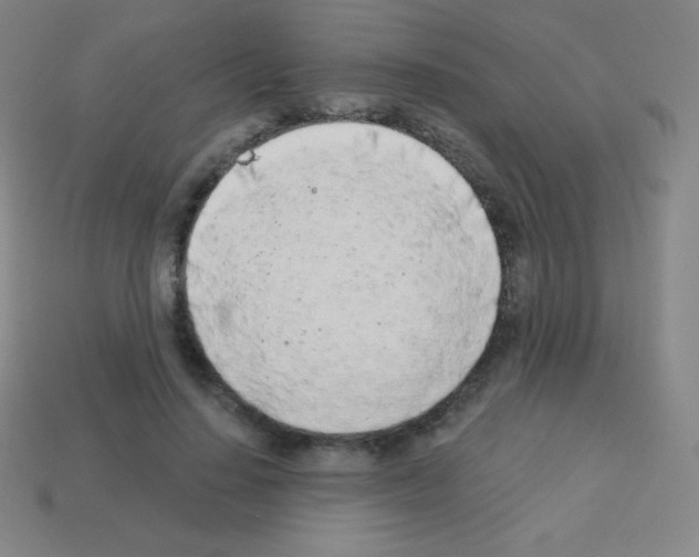 X0000113100644200910091140