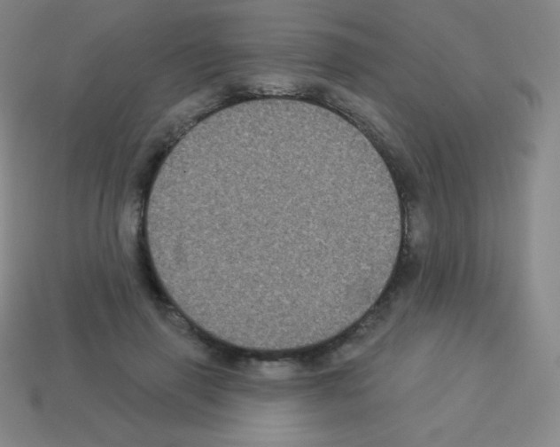 X0000113100645200910091140