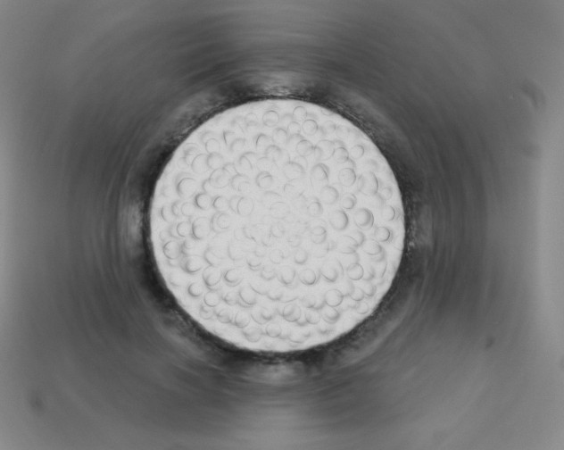 X0000113100646200910091140