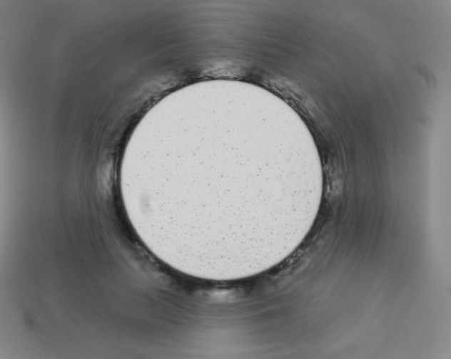 X0000113100647200910091140