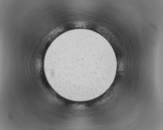 X0000113100648200910091140