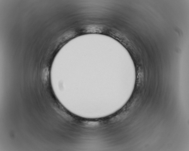 X0000113100649200910091140