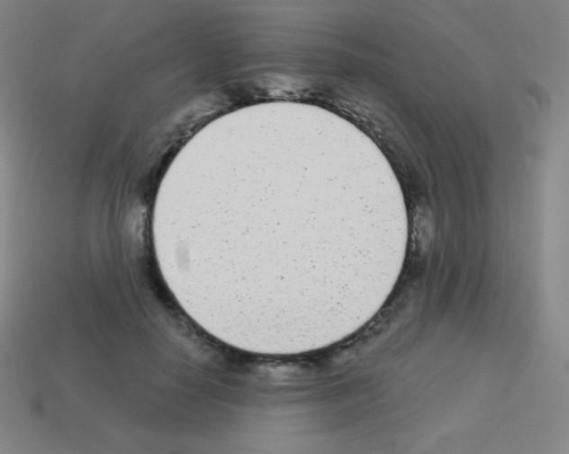 X0000113100650200910091140