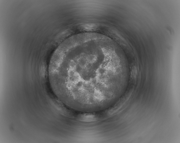 X0000113100651200910091140