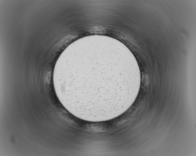 X0000113100652200910091140