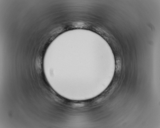 X0000113100653200910091140