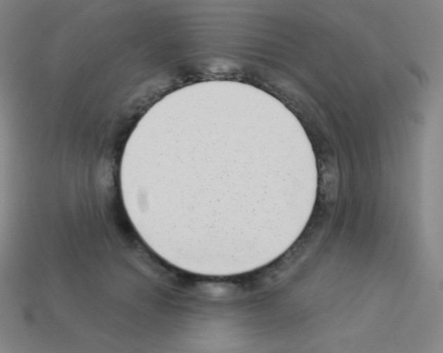 X0000113100654200910091140