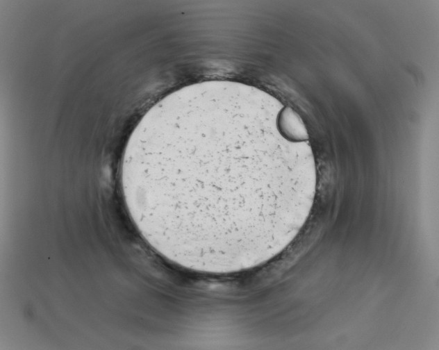 X0000113100655200910091140