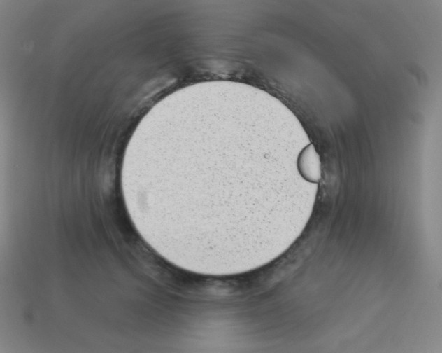X0000113100656200910091140