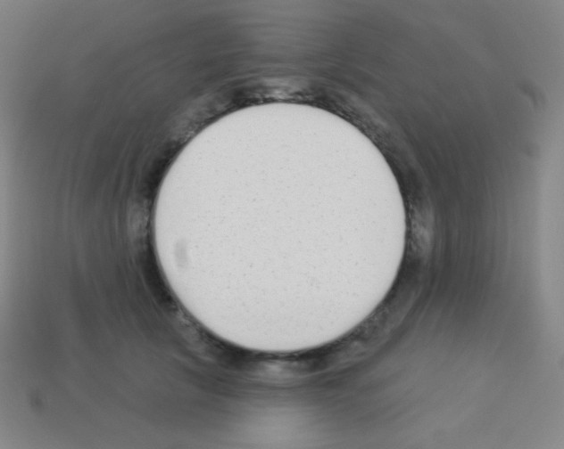 X0000113100657200910091140