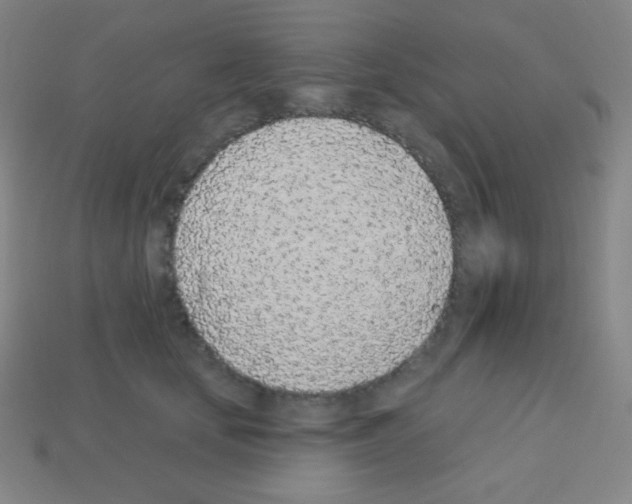 X0000113100659200910091140