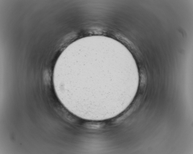 X0000113100661200910091140