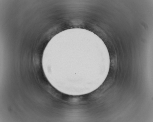 X0000113100662200910091140