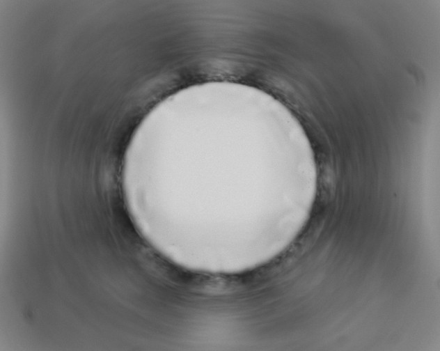 X0000113100663200910091140