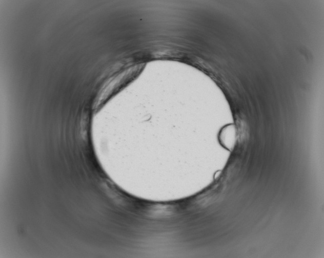 X0000113100664200910091140