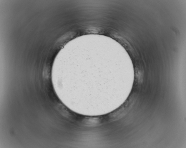X0000113100665200910091140