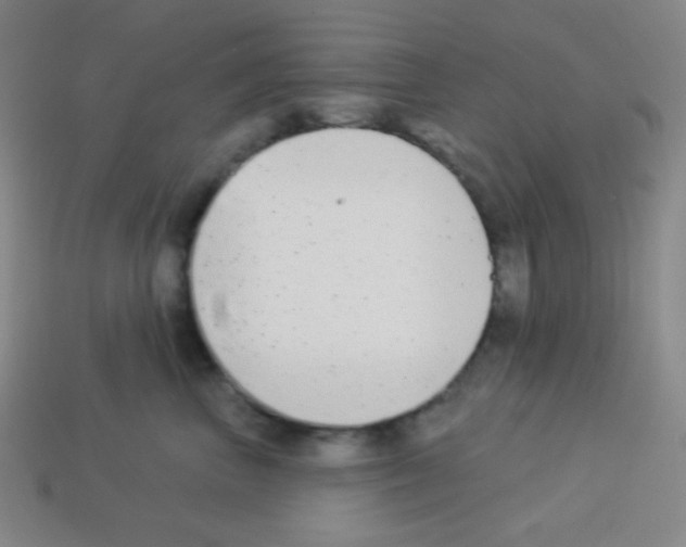 X0000113100667200910091140