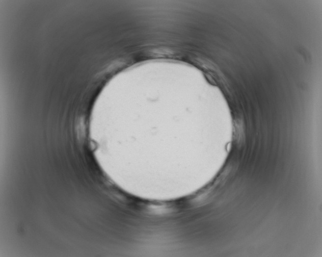 X0000113100669200910091140