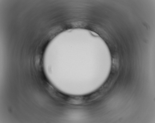 X0000113100671200910091140