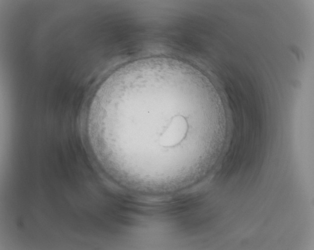 X0000113100672200910091140