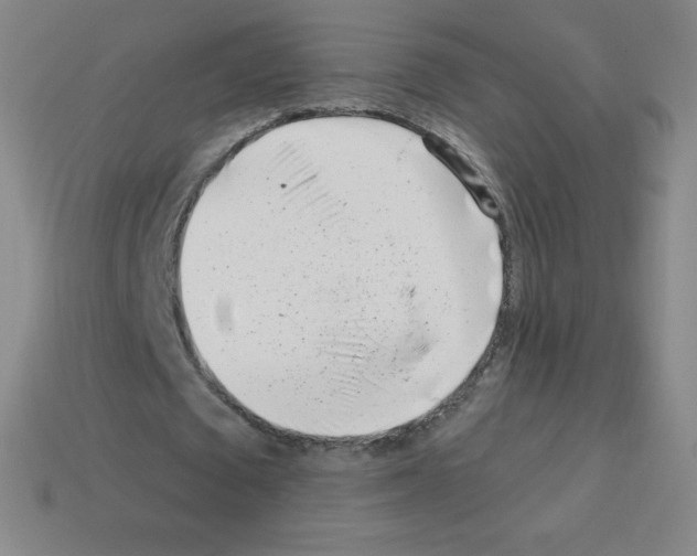 X0000113100673200910091140