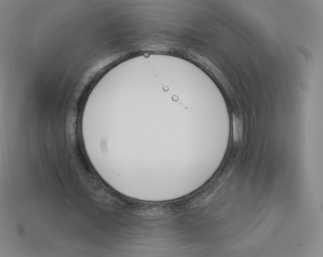 X0000113100675200910091140