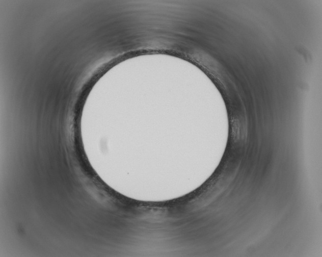 X0000113100676200910091140