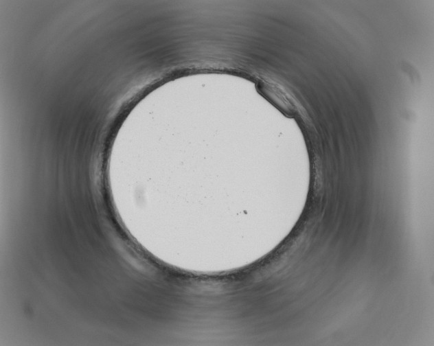 X0000113100677200910091140