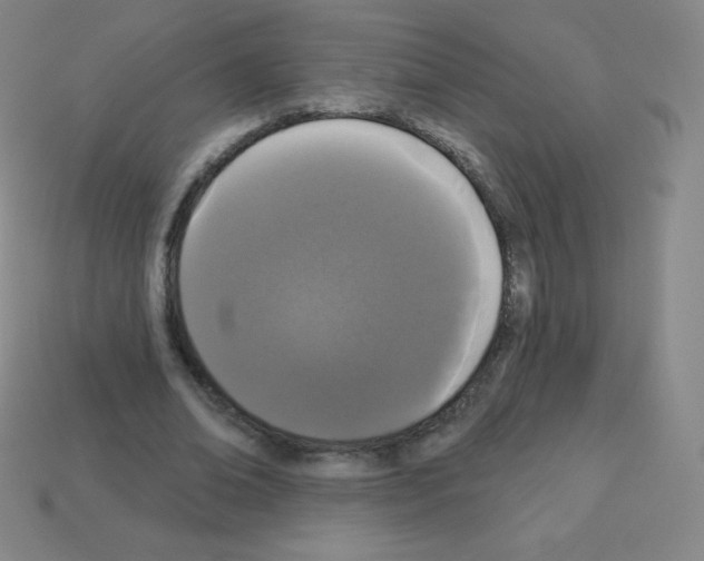 X0000113100678200910091140