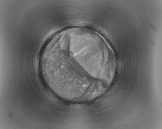 X0000113100679200910091140