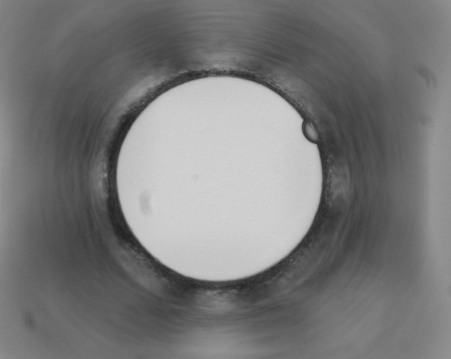 X0000113100680200910091140