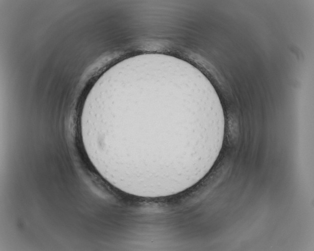 X0000113100682200910091140