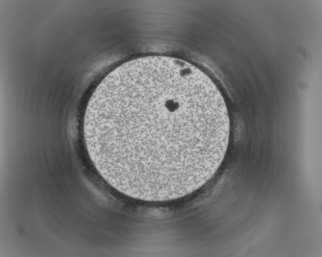 X0000113100683200910091140