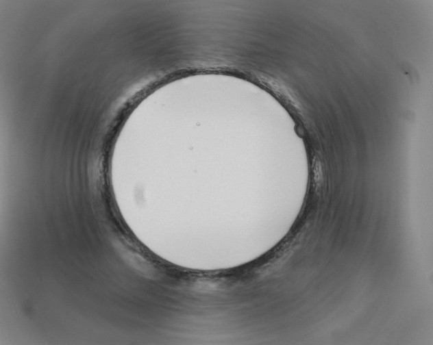X0000113100684200910091139