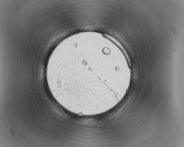 X0000113100685200910091139
