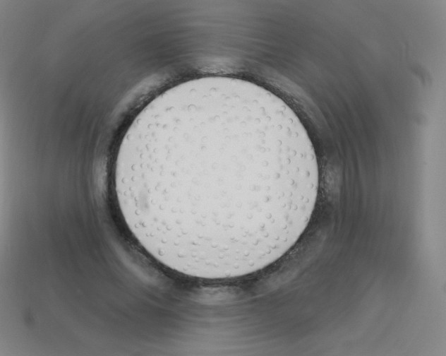 X0000113100686200910091139