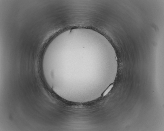 X0000113100688200910091139