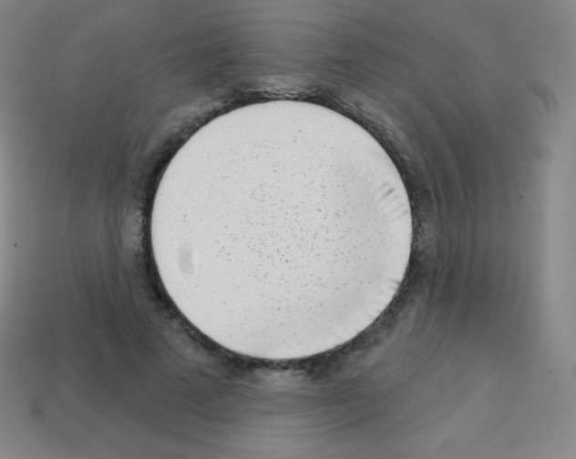 X0000113100689200910091139