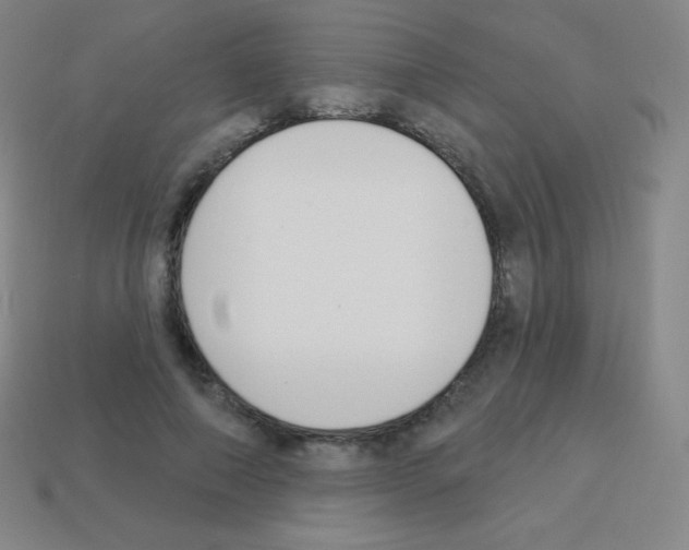 X0000113100690200910091139