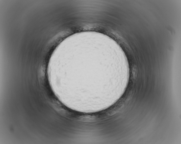 X0000113100691200910091139