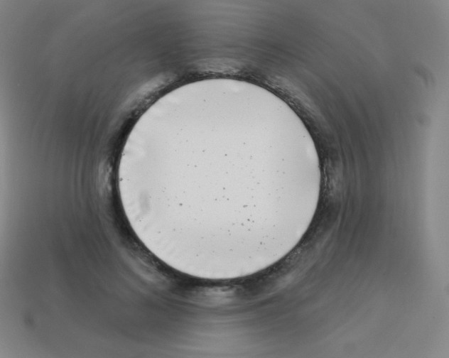 X0000113100692200910091139